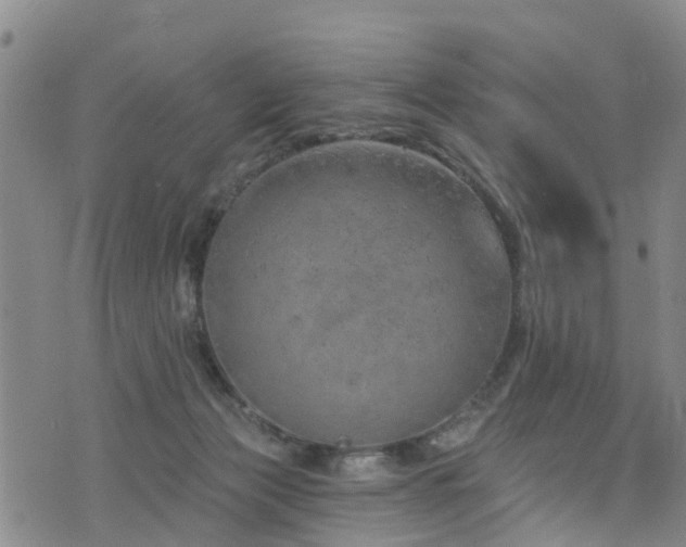 X0000074940173200609011125