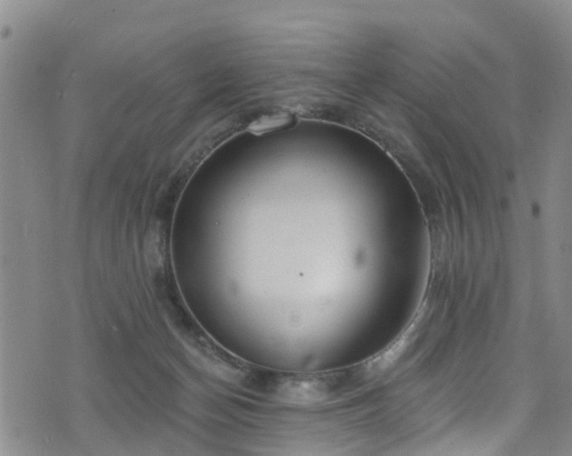 X0000074940174200609011125