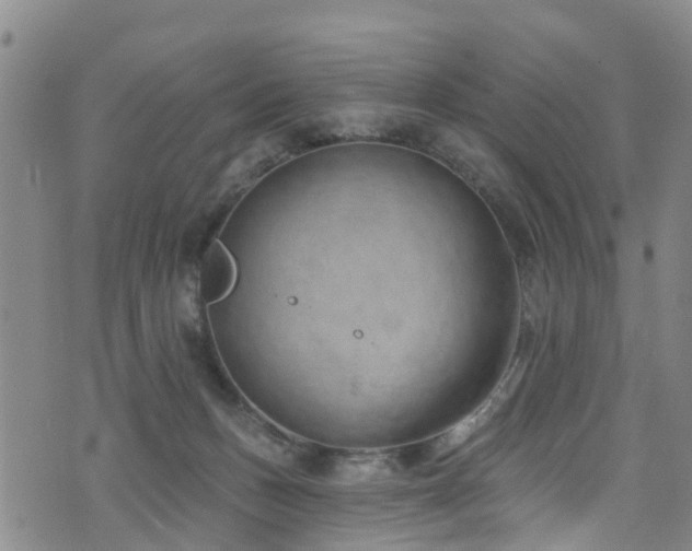 X0000074940175200609011125