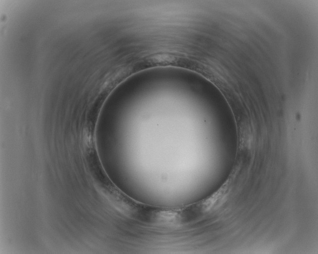 X0000074940176200609011125