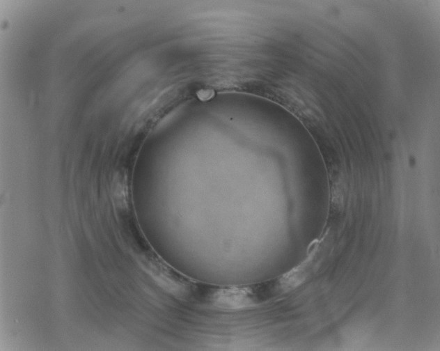 X0000074940179200609011125