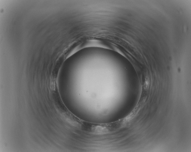 X0000074940180200609011125