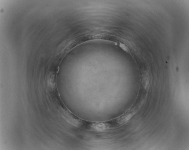 X0000074940181200609011125