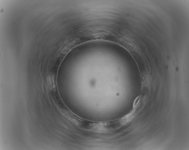 X0000074940182200609011125