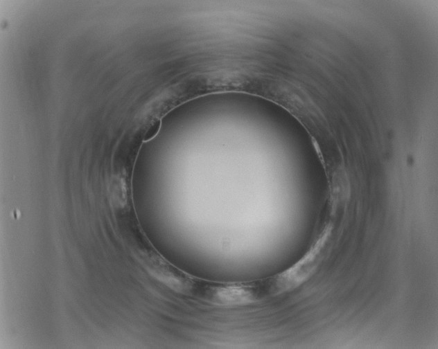 X0000074940183200609011125