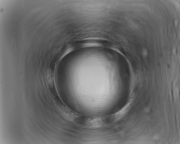 X0000074940186200609011125