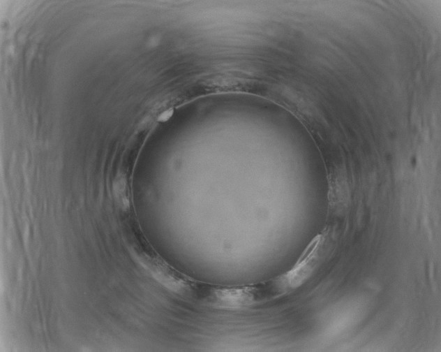 X0000074940187200609011125