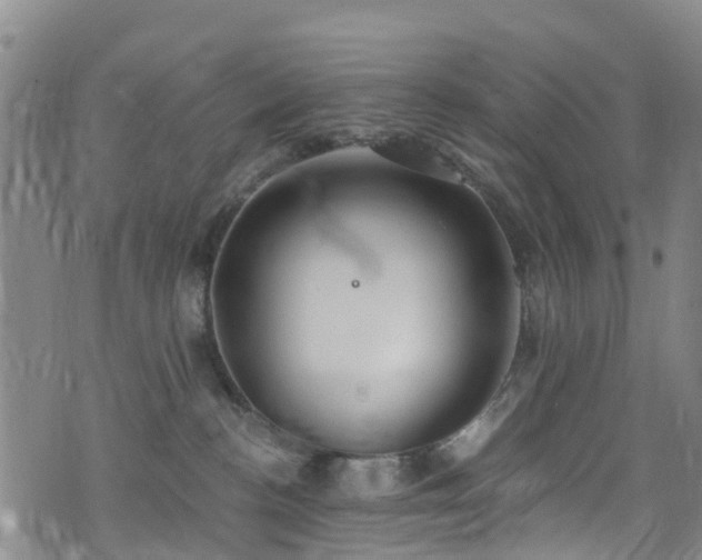 X0000074940188200609011125