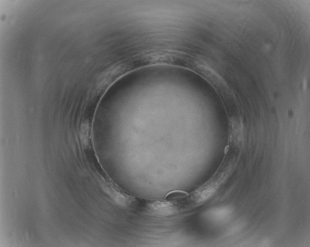 X0000074940189200609011125