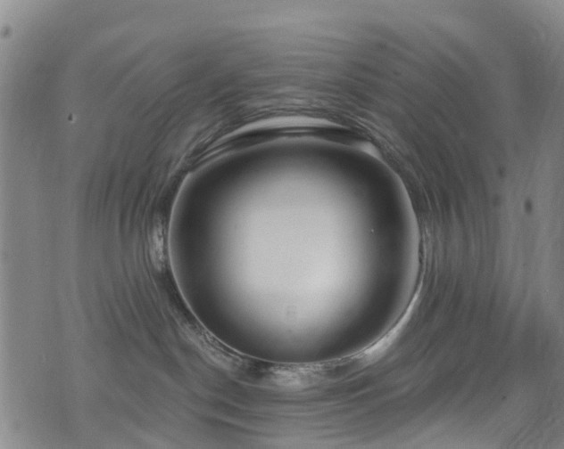 X0000074940190200609011125