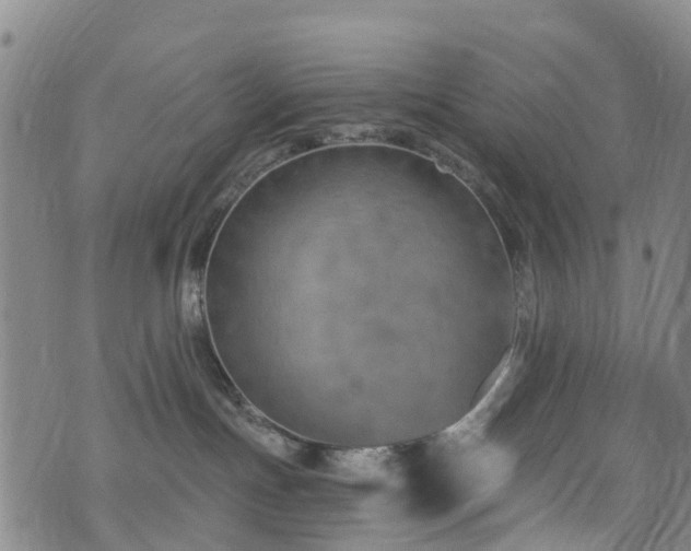 X0000074940191200609011125