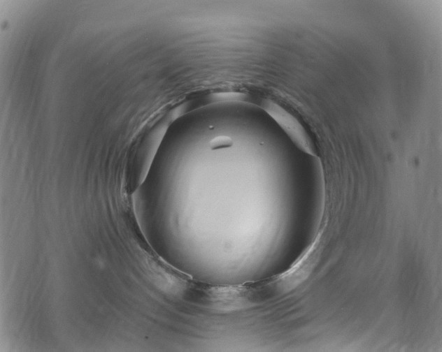 X0000074940192200609011125