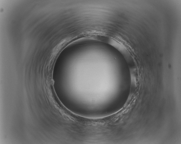 X0000074940193200609011124