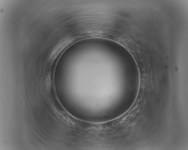 X0000074940194200609011124