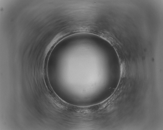 X0000074940195200609011124