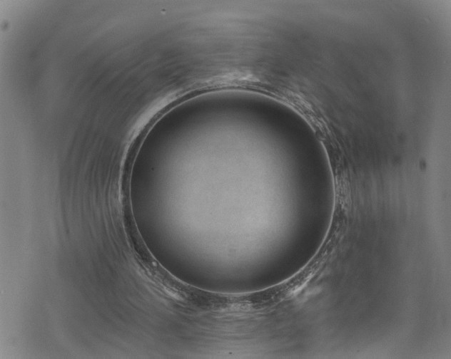 X0000074940196200609011124