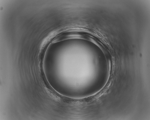 X0000074940197200609011124