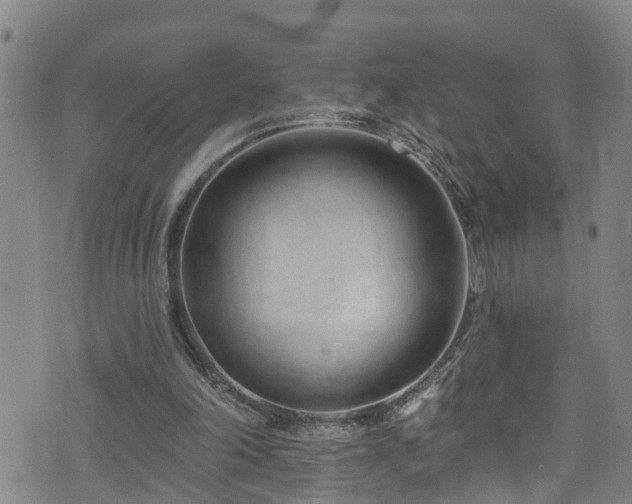 X0000074940198200609011124