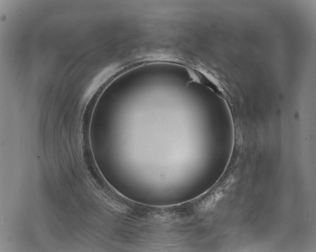 X0000074940199200609011124