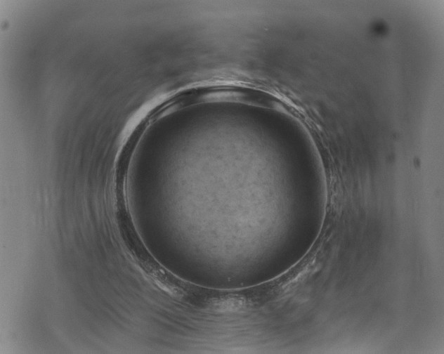 X0000074940200200609011124