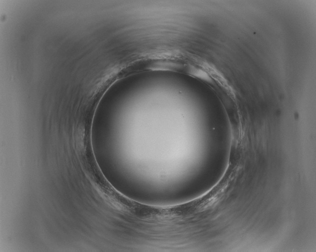 X0000074940201200609011124