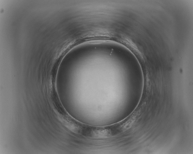 X0000074940202200609011124