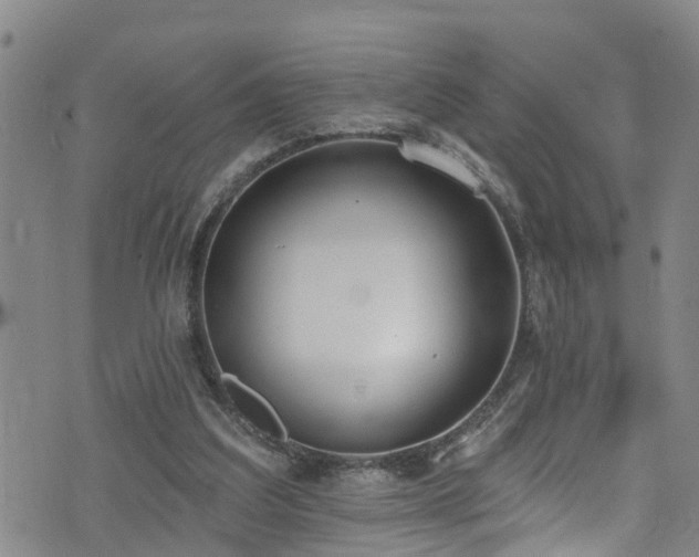 X0000074940203200609011124