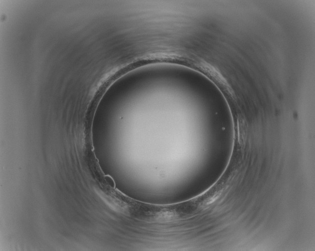 X0000074940204200609011124