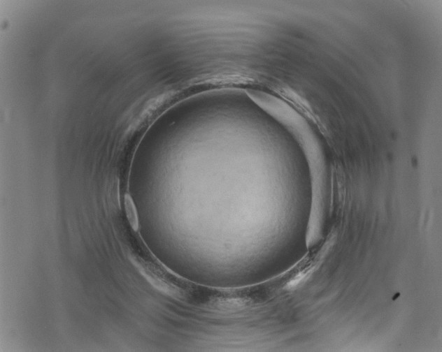 X0000074940205200609011124