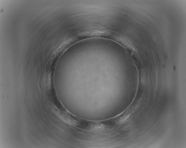 X0000074940206200609011124