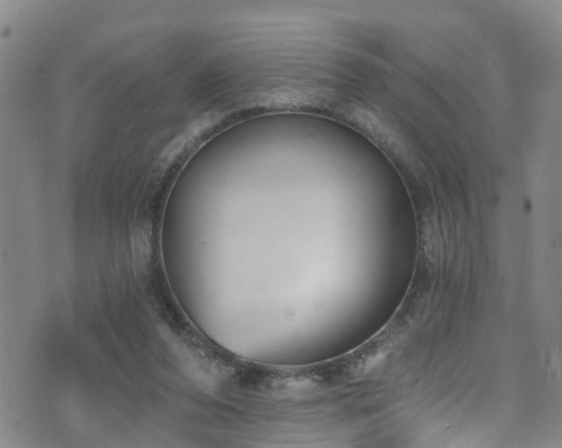 X0000074940208200609011124