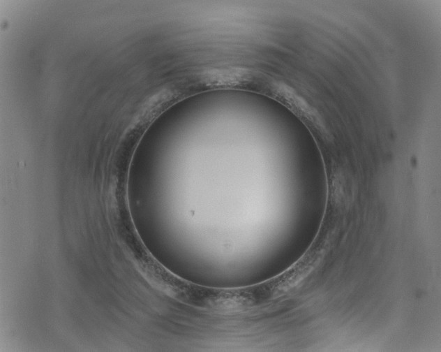 X0000074940209200609011124