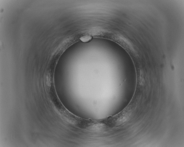 X0000074940210200609011124