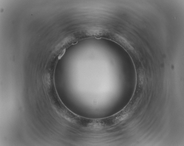 X0000074940211200609011124