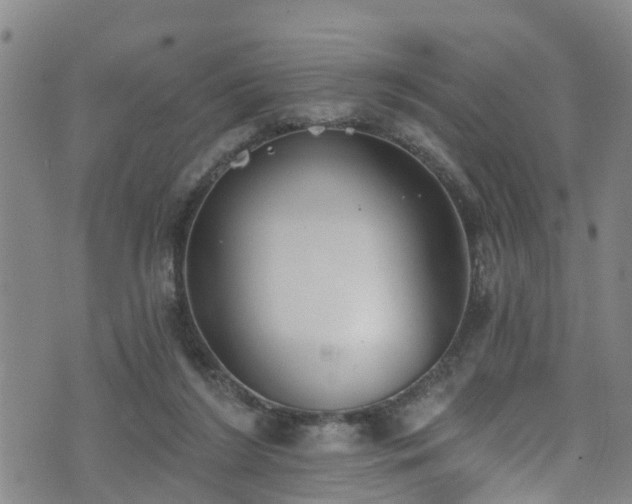 X0000074940212200609011124