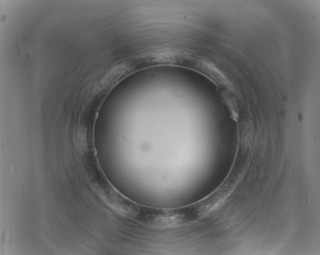 X0000074940213200609011124