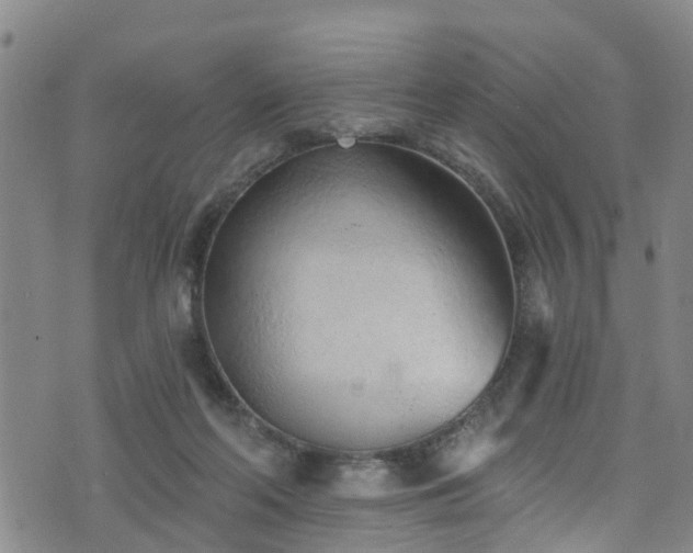 X0000074940214200609011124