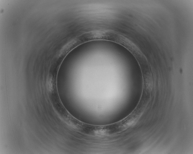 X0000074940216200609011124