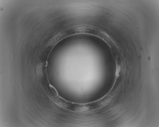 X0000074940217200609011124