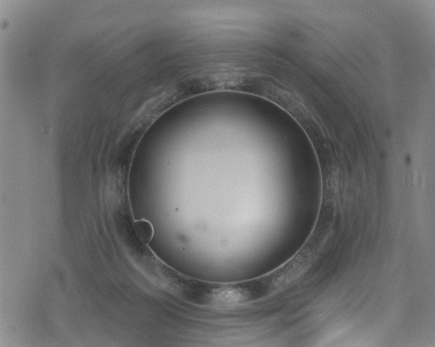 X0000074940218200609011124