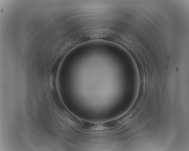 X0000074940219200609011124