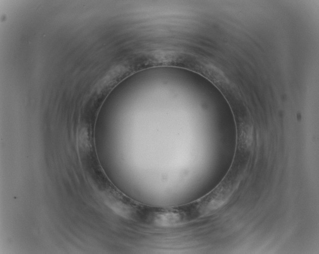 X0000074940220200609011124