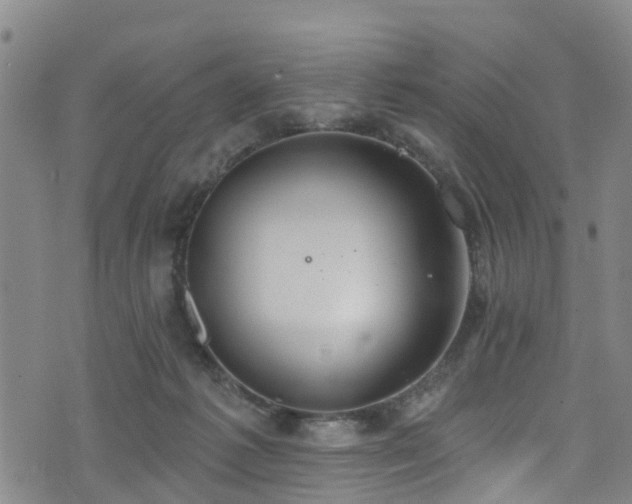 X0000074940221200609011124