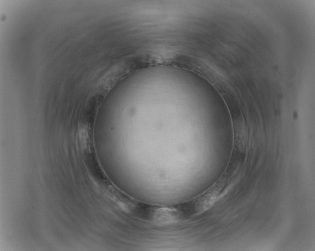 X0000074940222200609011124