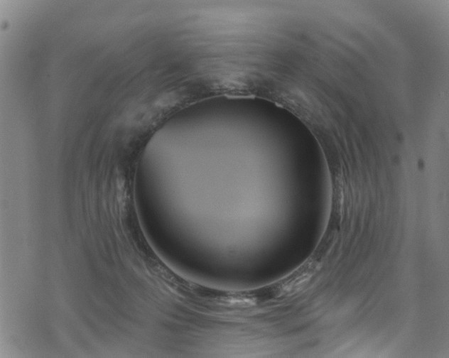 X0000074940223200609011124