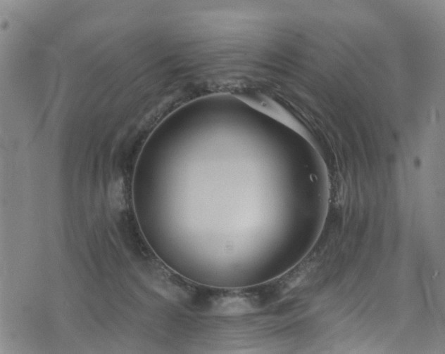 X0000074940224200609011124