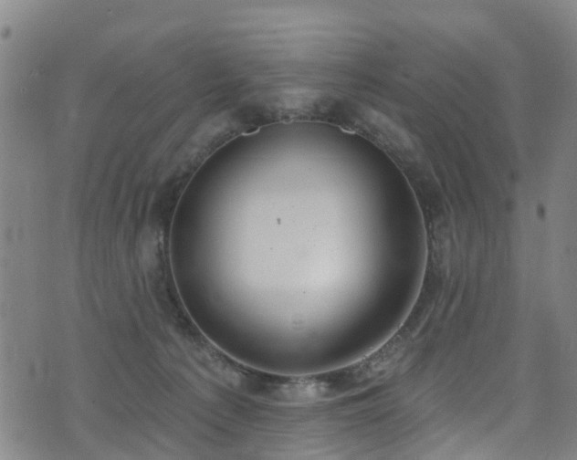 X0000074940225200609011124