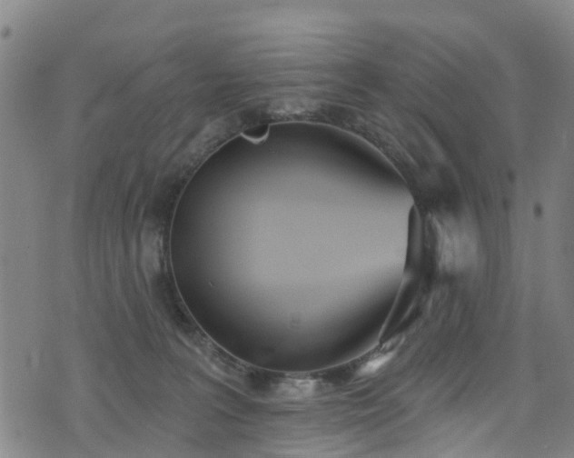 X0000074940227200609011124