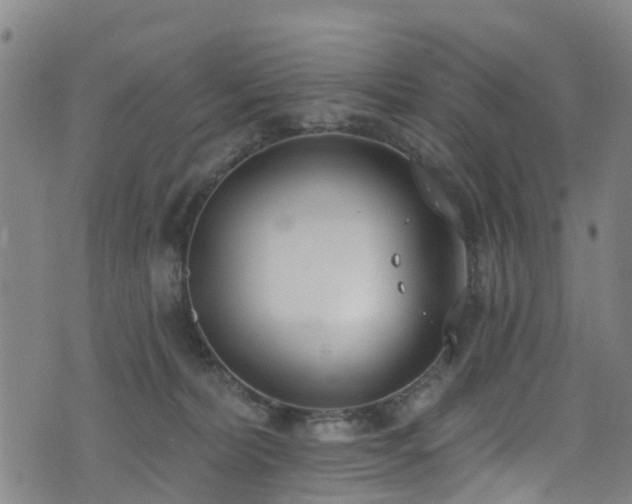 X0000074940228200609011124