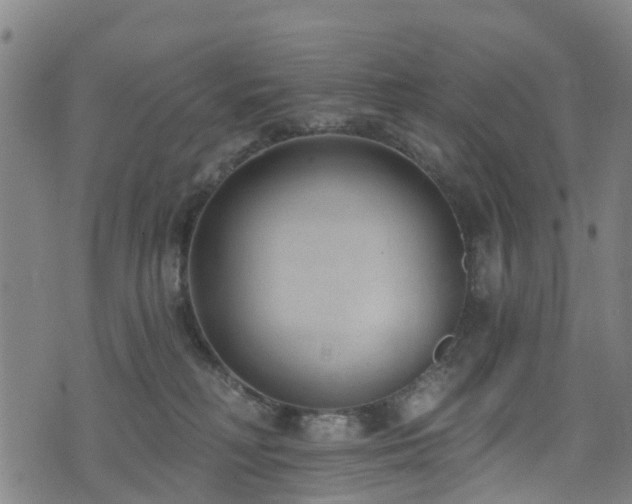 X0000074940230200609011124